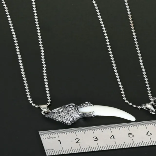 Silver Wolf Tooth Chain — photo 5